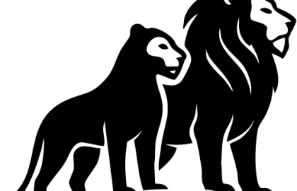Should I wait, learn more, or talk to a professional?