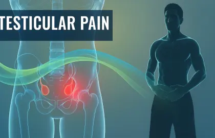 টেস্টিকুলার পেইন কী ?
