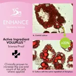IsoSensuals® ENHANCE Bust Enhancement System – Cream, Pills & Complete Bundle